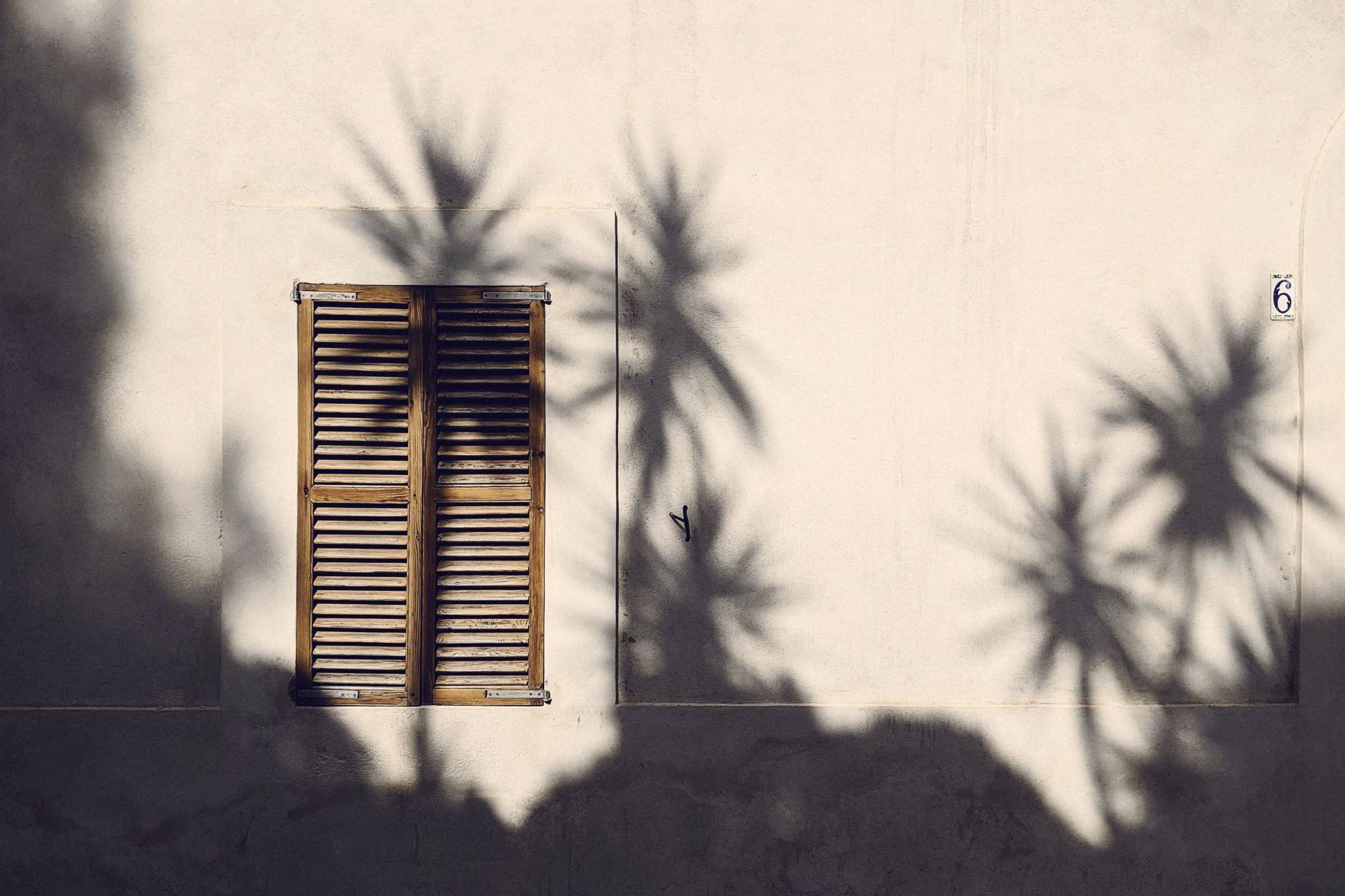 Palm shadows on a sunlit wall beside a wooden shutter